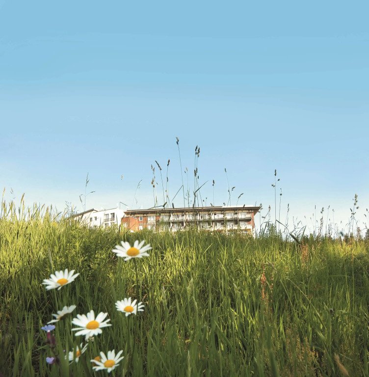 Wellness-& Nationalpark Hotel Schliffkopf, BWSC