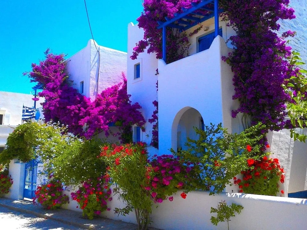 Pelagos Studios