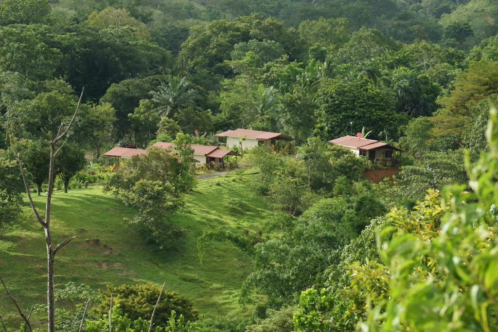 Rancho Las Tilapias