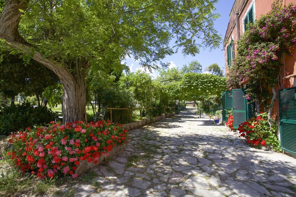 Appartamento Trilo Tenuta Damiani