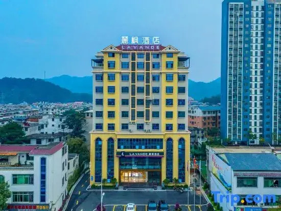 Lavande Hotel (Longnan Yingbin Avenue)