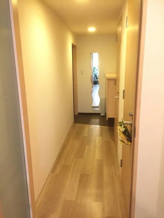 Dotonbori Apartment 0 4