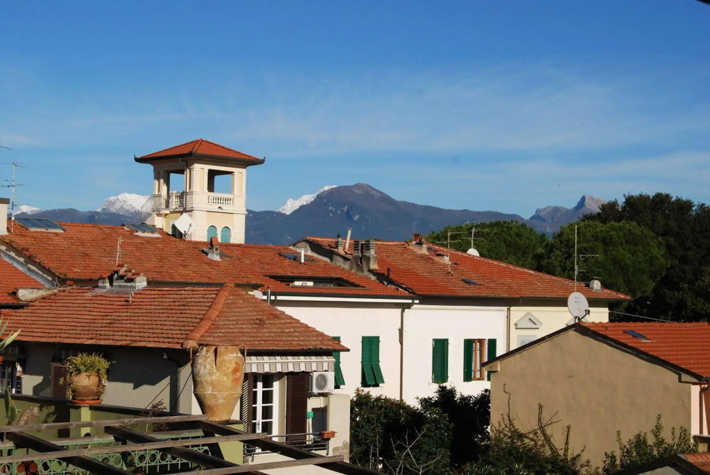 Burlamacco Gold