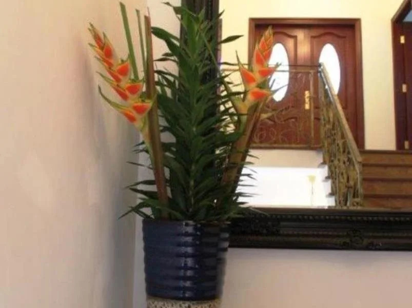 Le Bonheur Villa