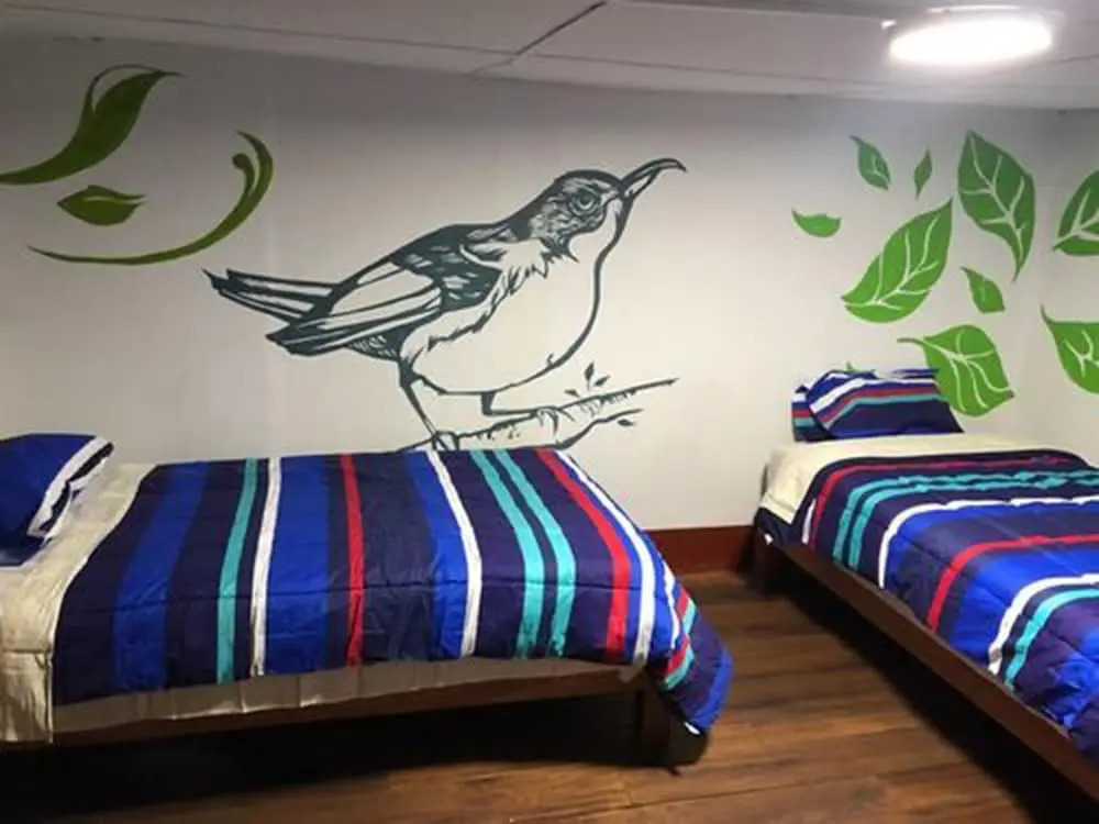 Déjà Vu Backpackers