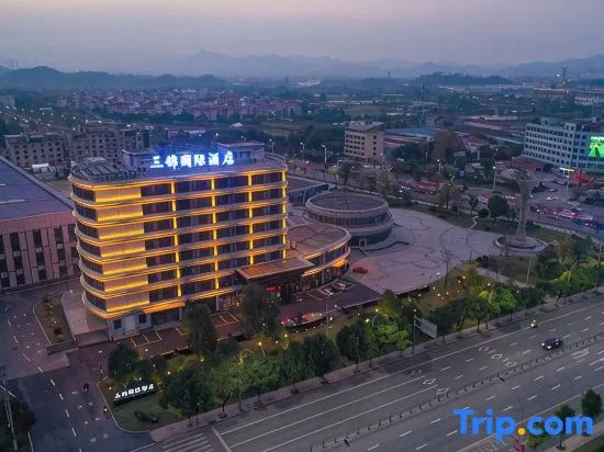 Sanjin International Hotel (Wuyi Station Development Avenue)
