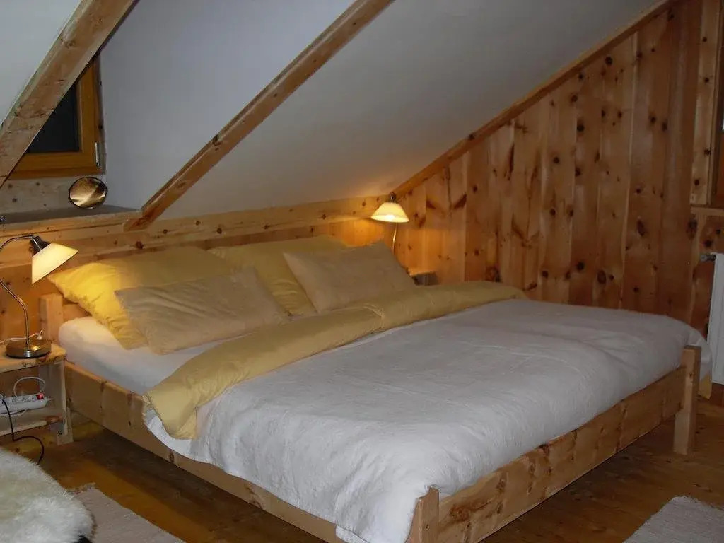 Chalet Geissler