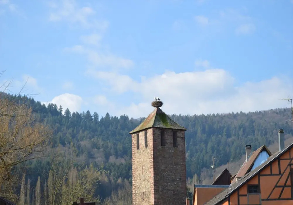 Coeur de village et route des vins 1