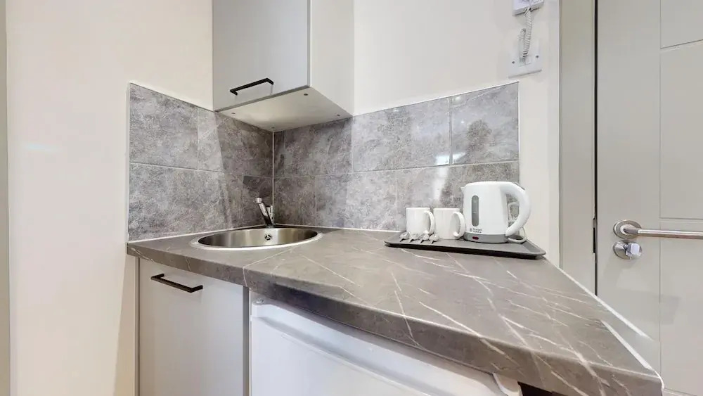 Battersea Park Chic Studio Serviced Apartments