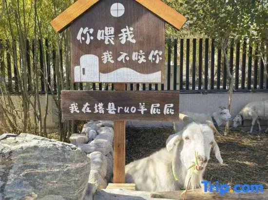 Snow Hotel