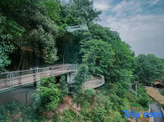 MoonlitNooksMistyNicheMildNook home stay facility (qingcheng mountain scenic area stores)