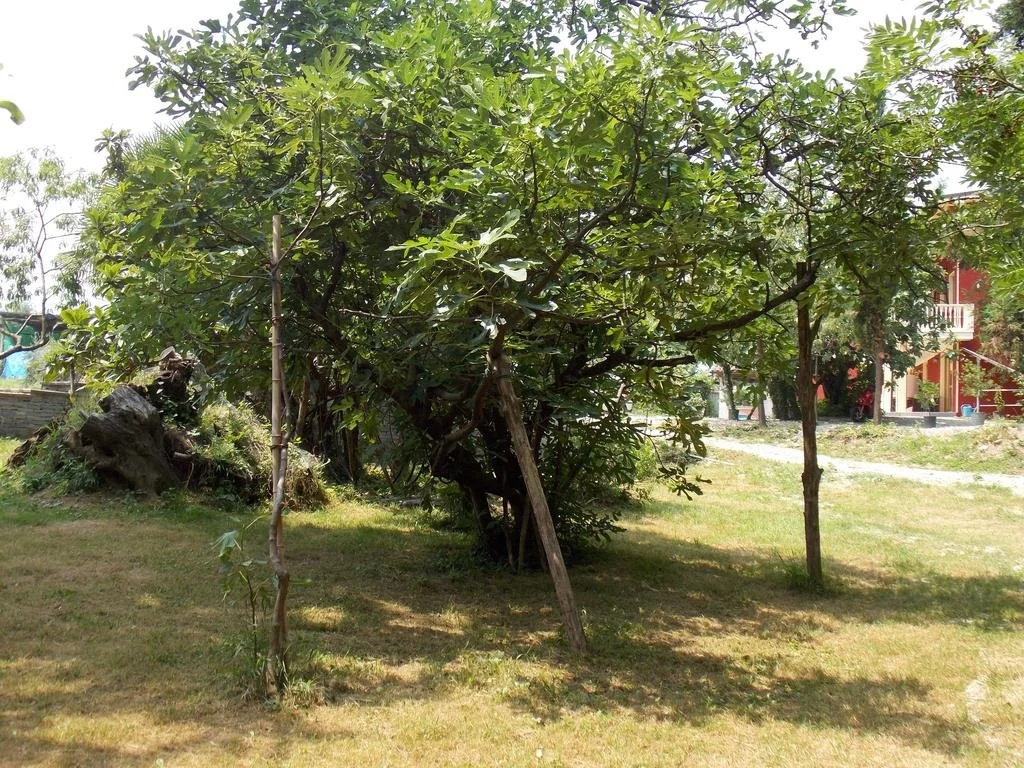 Resort BaccaBlu