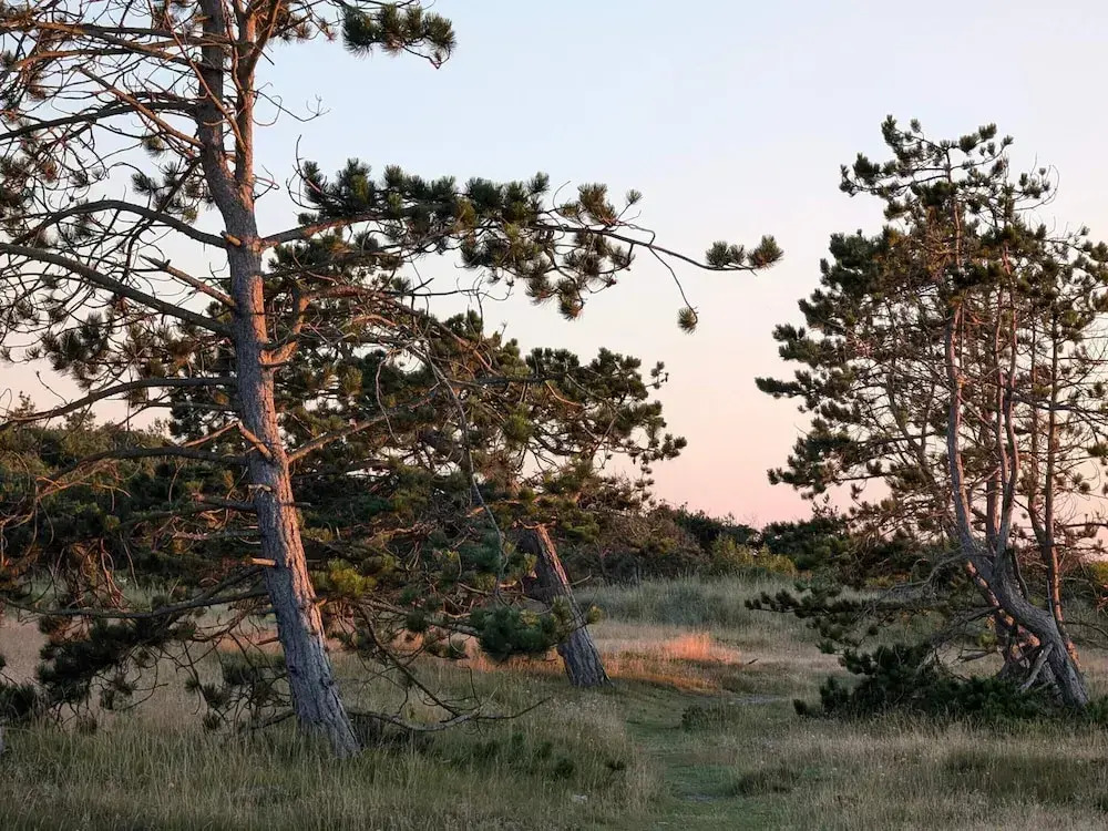 4 Star Holiday Home in Frederiksvaerk