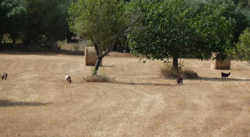 Finca Sa Coma