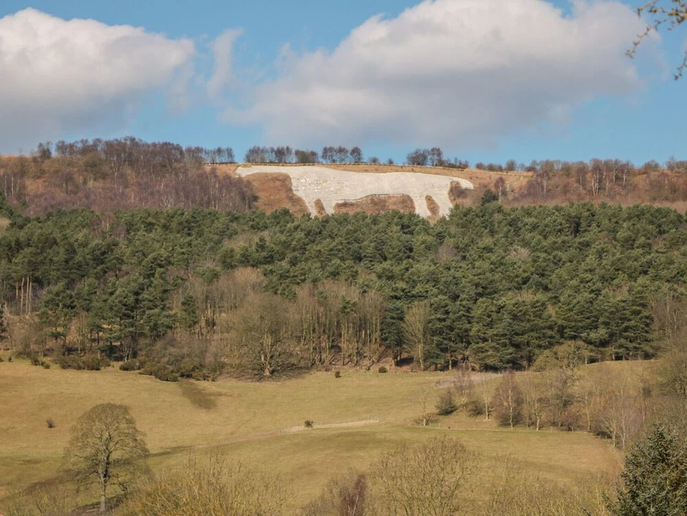 22 Meadow View Lodge