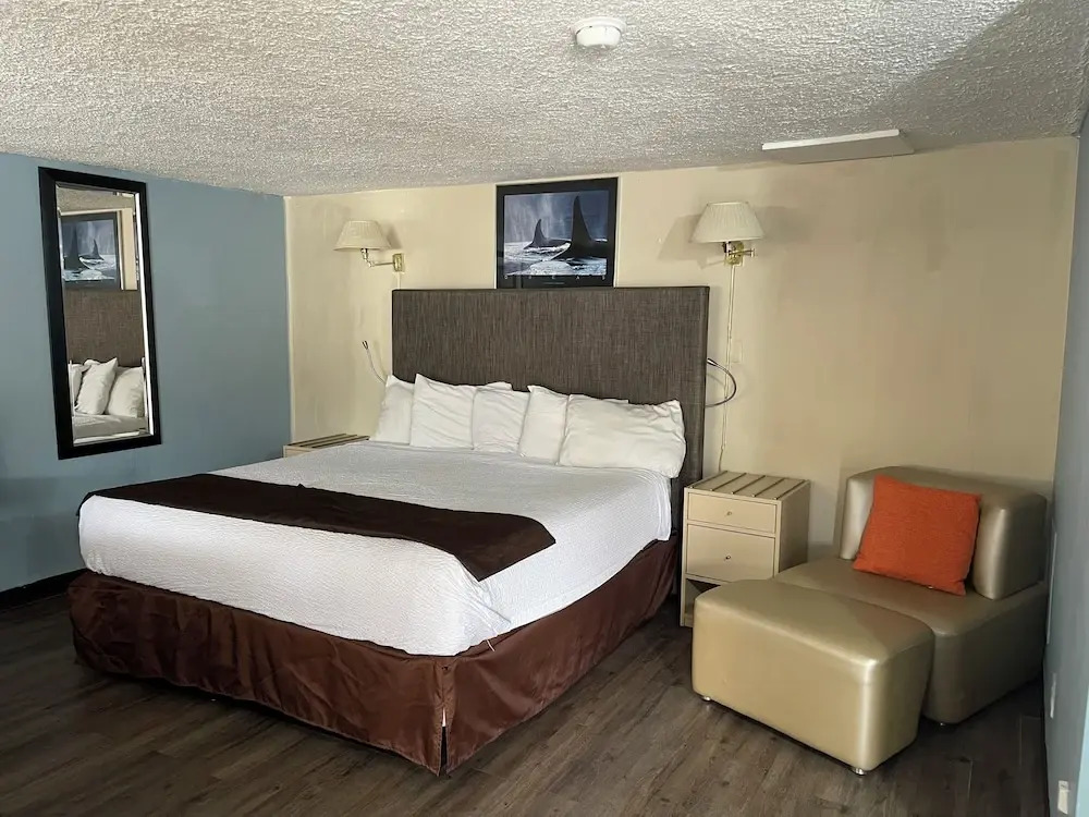Safari Motel