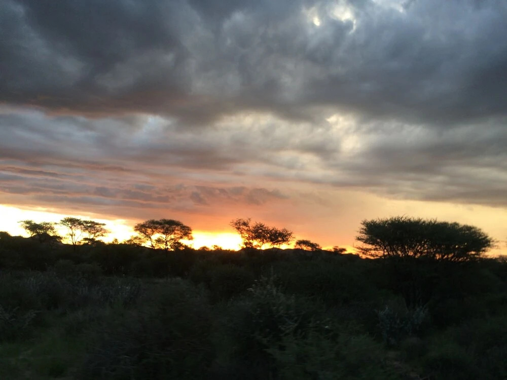 Roidina Safari Lodge
