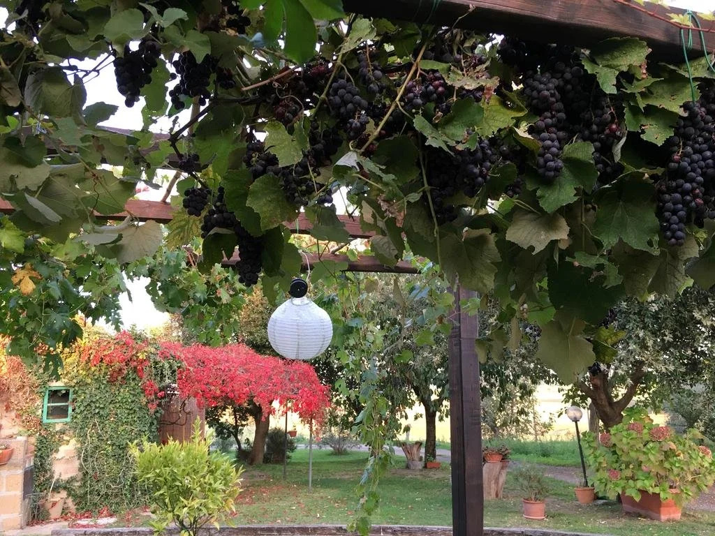 Antico Casale Santa Flora