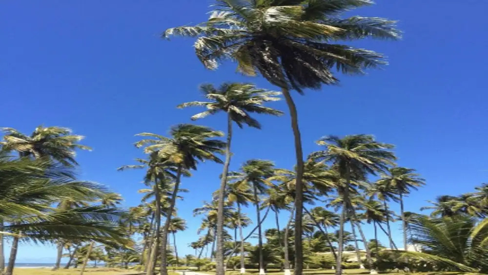 Linda casa na Praia de Guarajuba