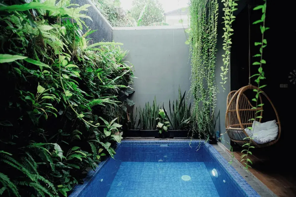 Illusion Homestay