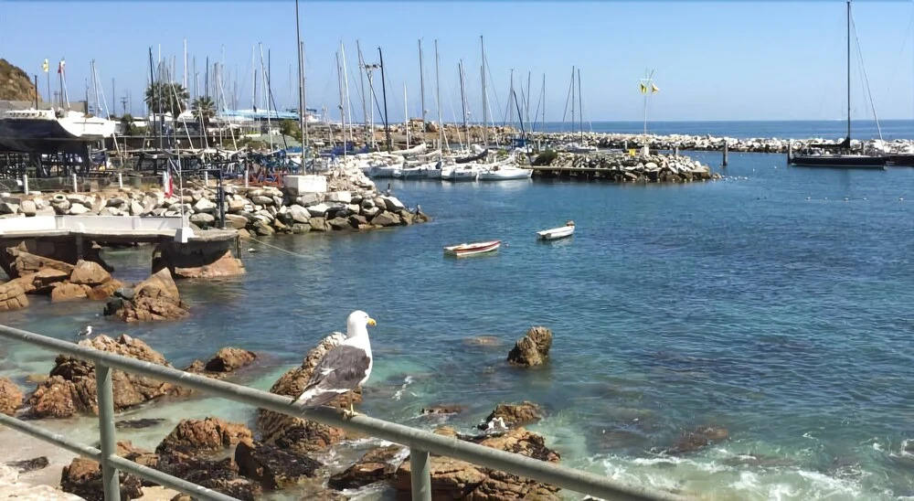 Apartamento 307 Vista Mar Lilenes