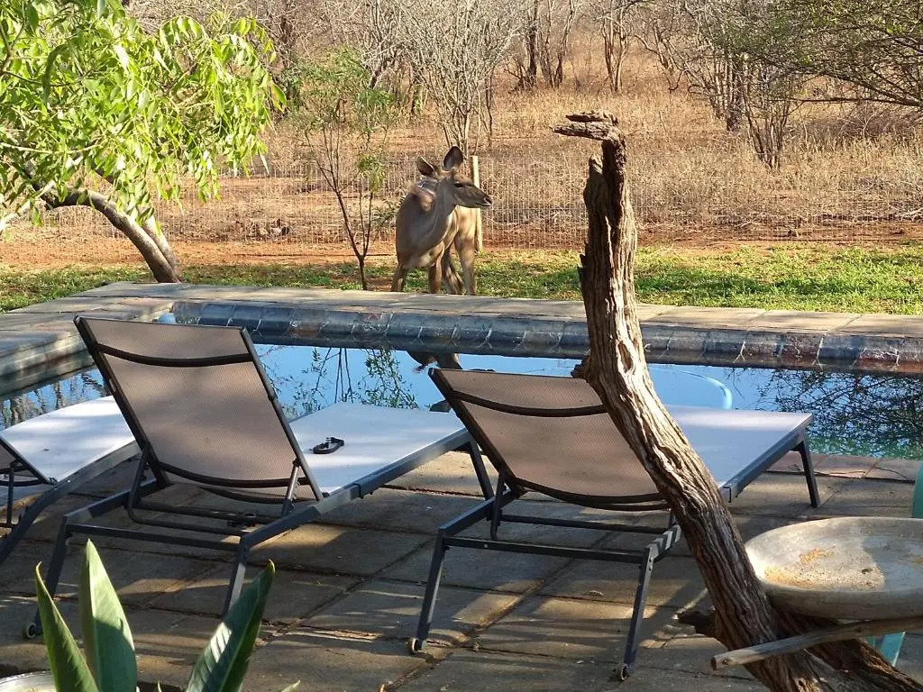 Call of the Wild Lodge