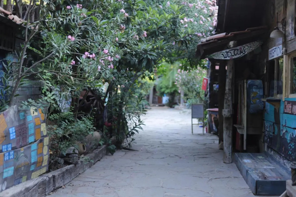 Kadir's Tree Houses