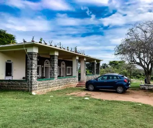 Kings Wild Retreat