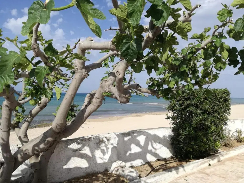Dimora Grazia in Riva al Mare