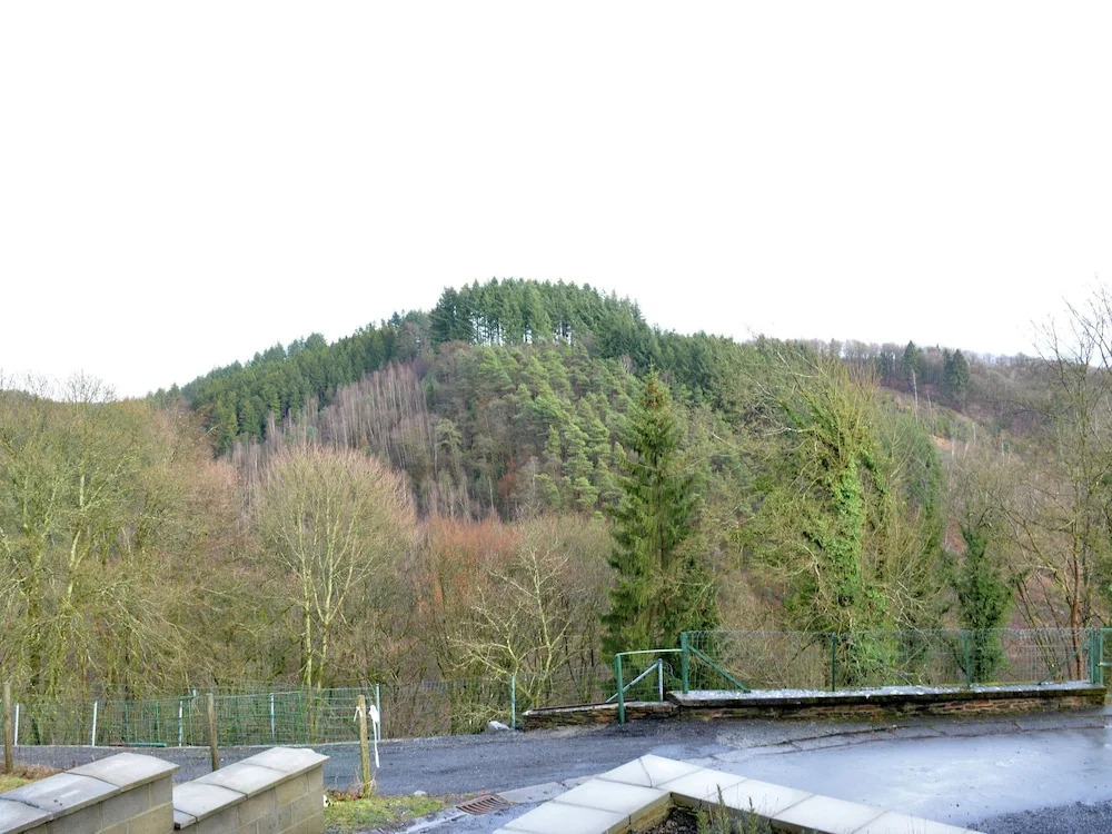 Small Typical Ardennes House, Comfortable, in Quiet Hamlet