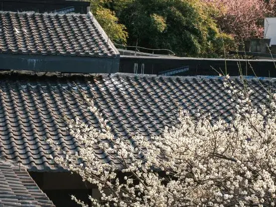 Hangzhou Shuimo Zhuang Private Home Forest Hotel (Chaoshan Scenic Area)