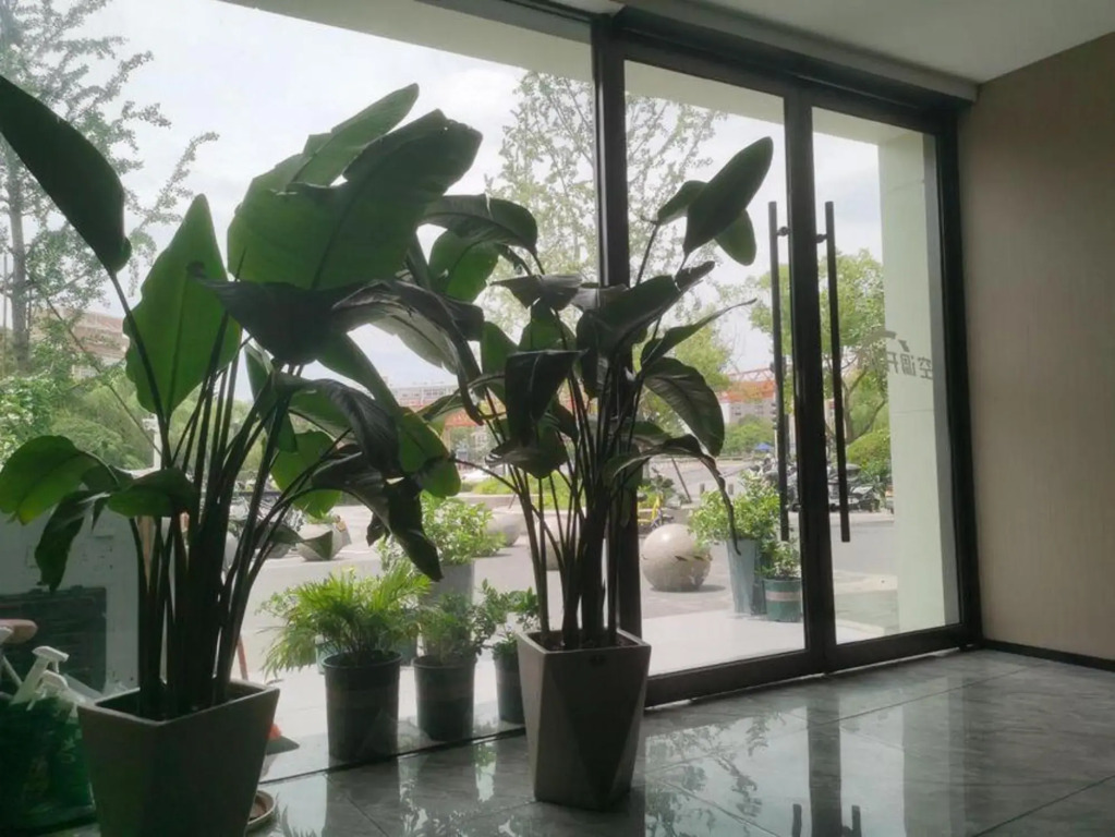 Muxi Collection Hotel (Xia Sha Wenze Road Subway Station)