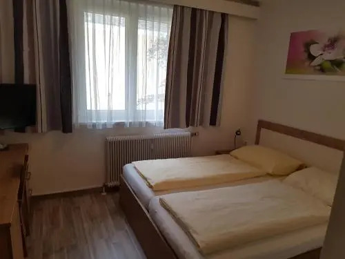Hotel Lenau
