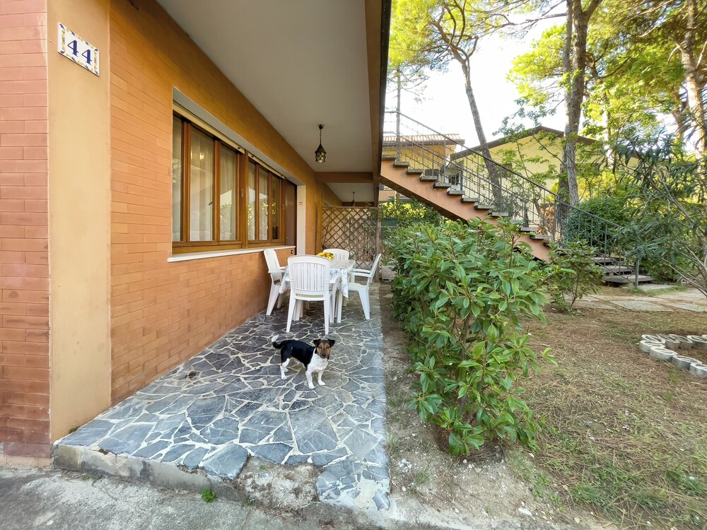 Relaxing Stay With Garden