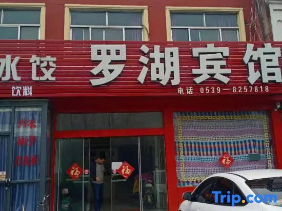Linyi Luohu Hotel