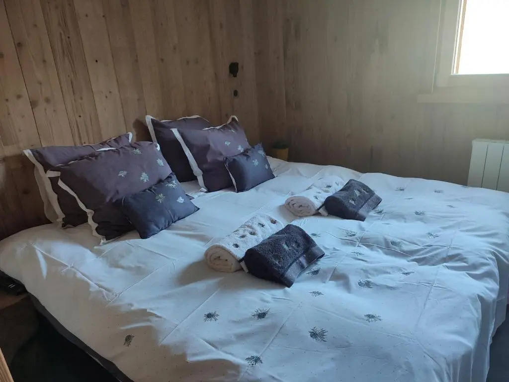 Appartement Morzine, 3 pièces, 4 personnes - FR-1-627-64