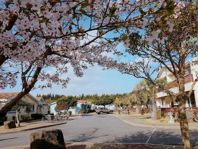Seogwipo Blaze Resort