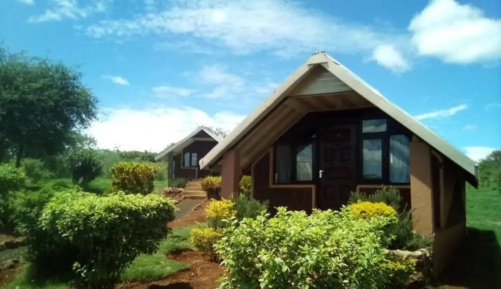 Teen Ranch Camp