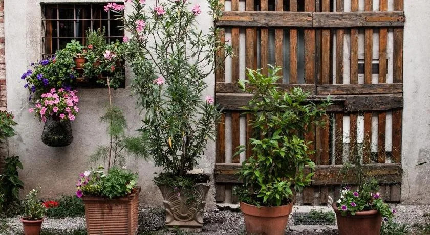 Buonocore Guesthouse