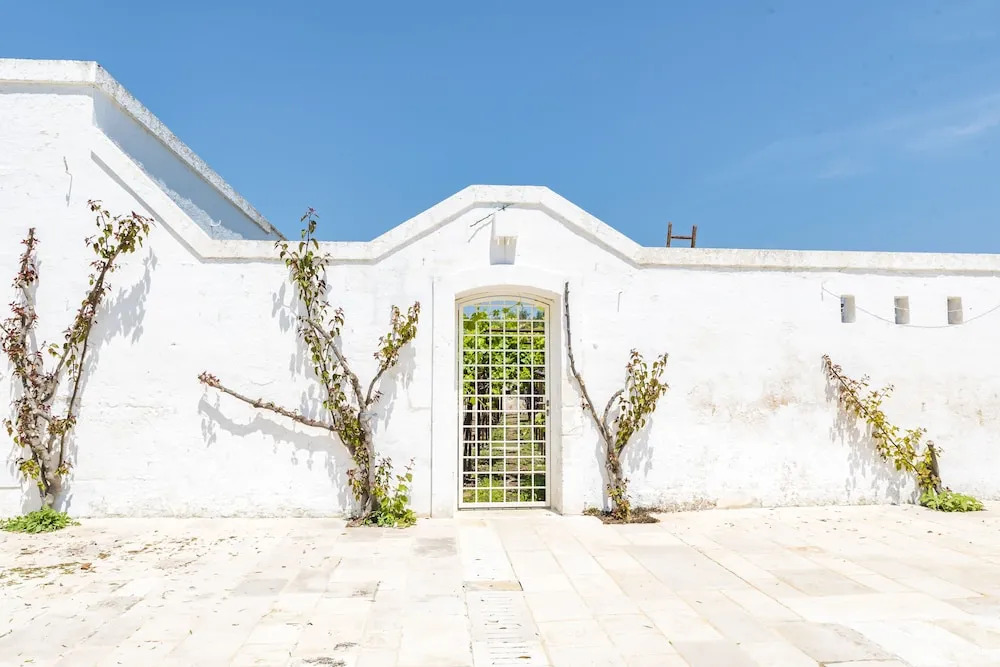 Masseria Degli Ulivi Millenari