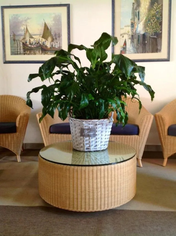 Hotel Ivana