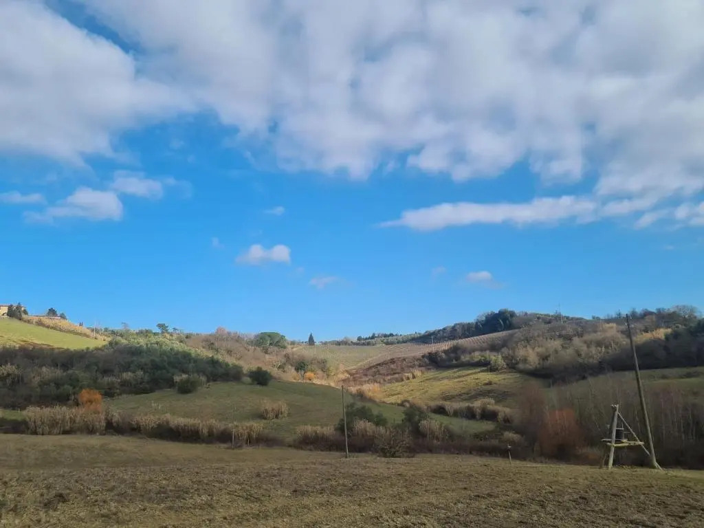 Azienda Agricola Cortina e Mandorli