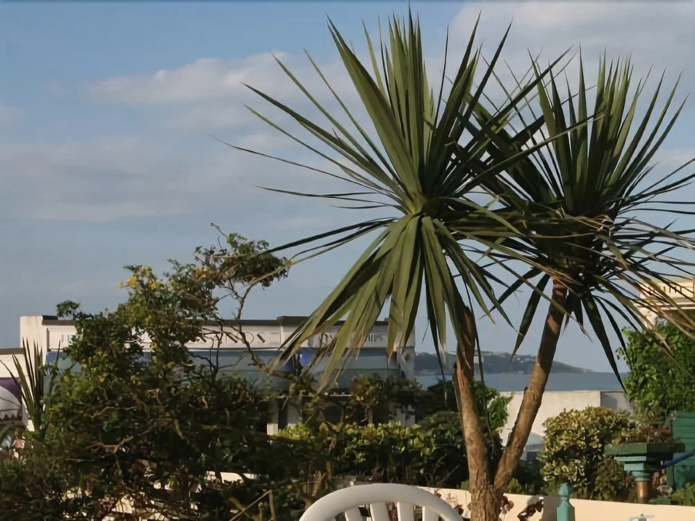 The Sands Hotel