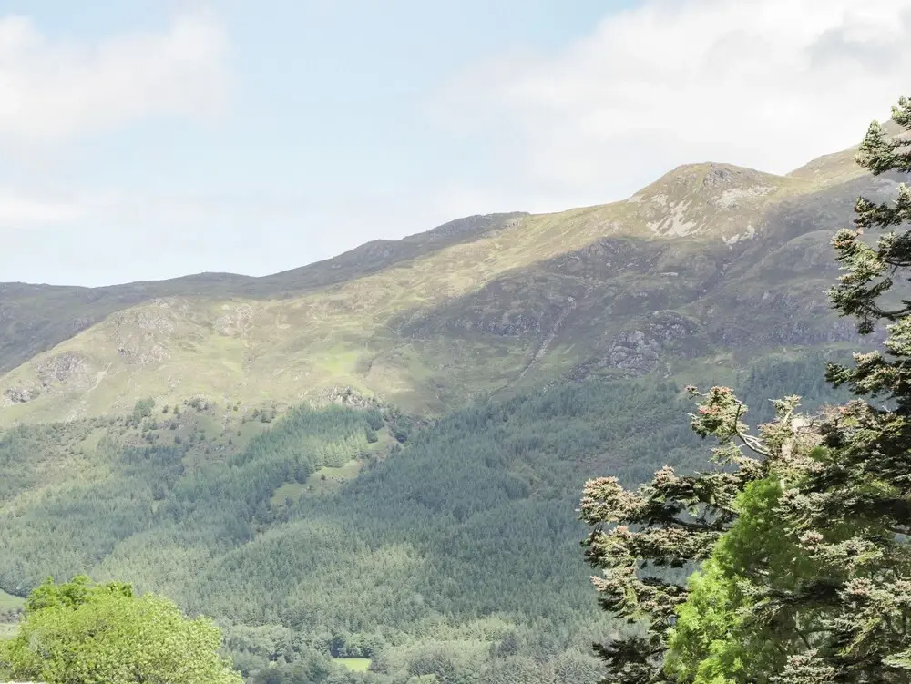Silver Birch Lodge