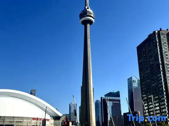 DT2BR2BA CN tower &lake view/ parking king bed
