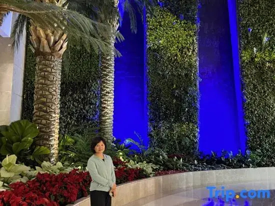 Luxury 2 Bedrooms Okada View and Bayview Near Airports, Okada, Solaire, MOA