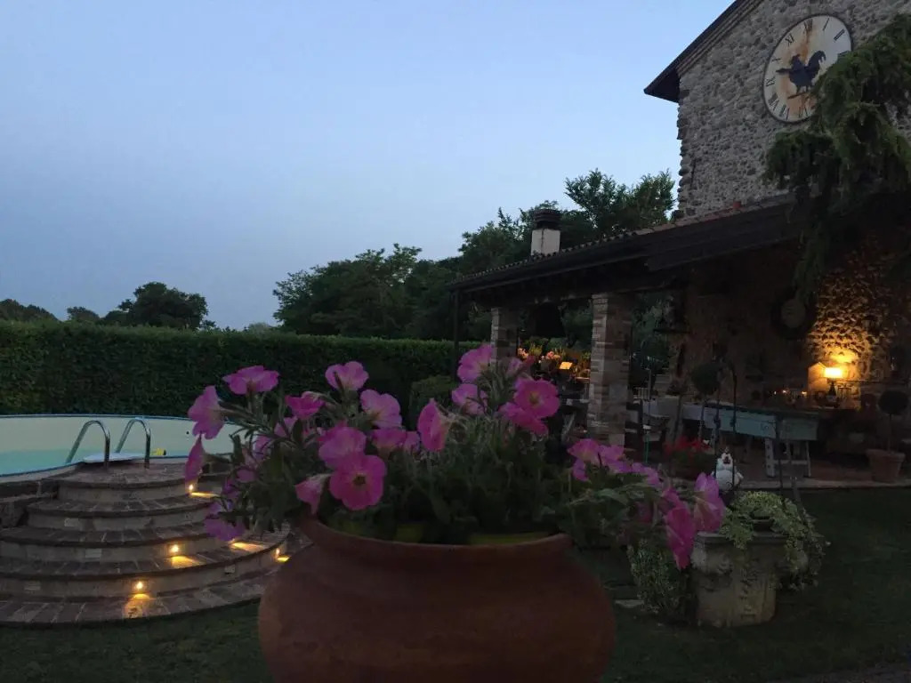 Gallo delle Pille