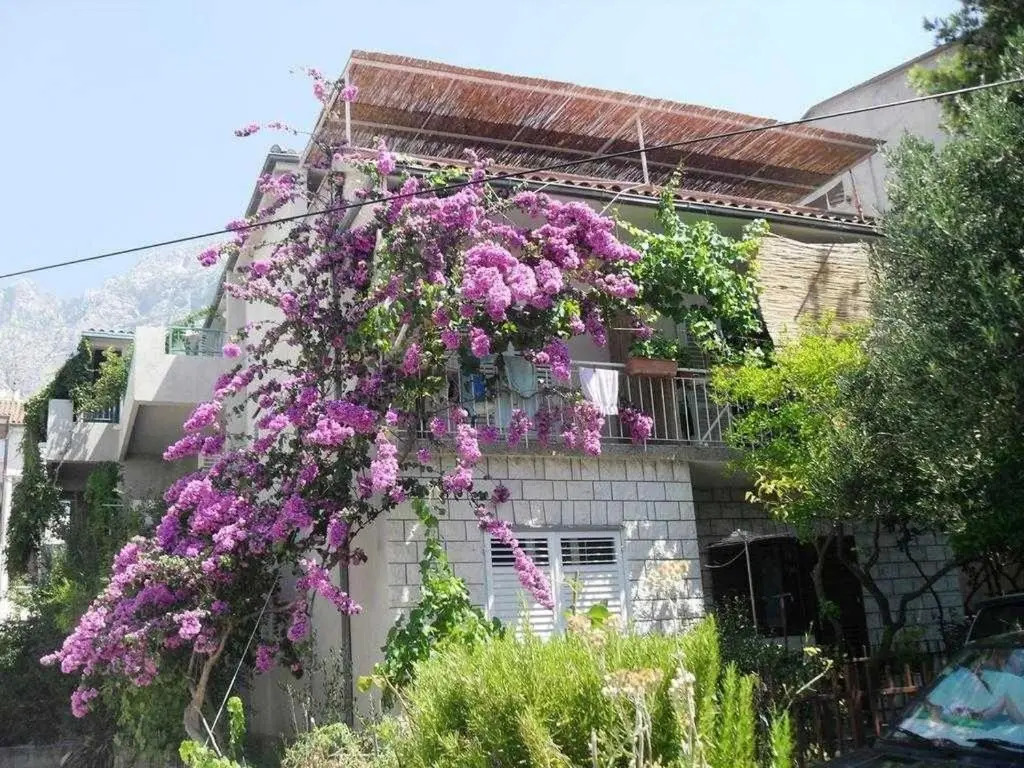 Apartments Jadro