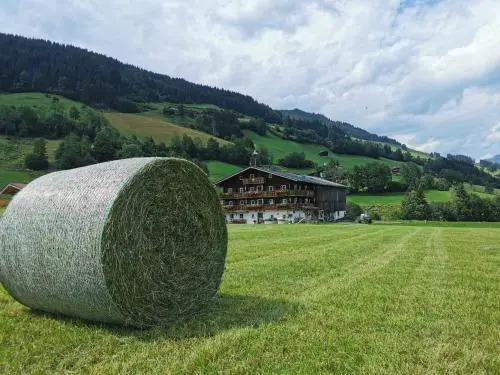 Apartement Bergblick Und Venediger