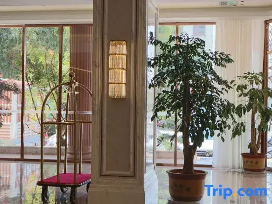 Vienna International Hotel (Pu'er Simao Airport)